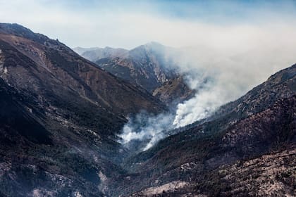 El 95% de los incendios forestales tienen origen humano