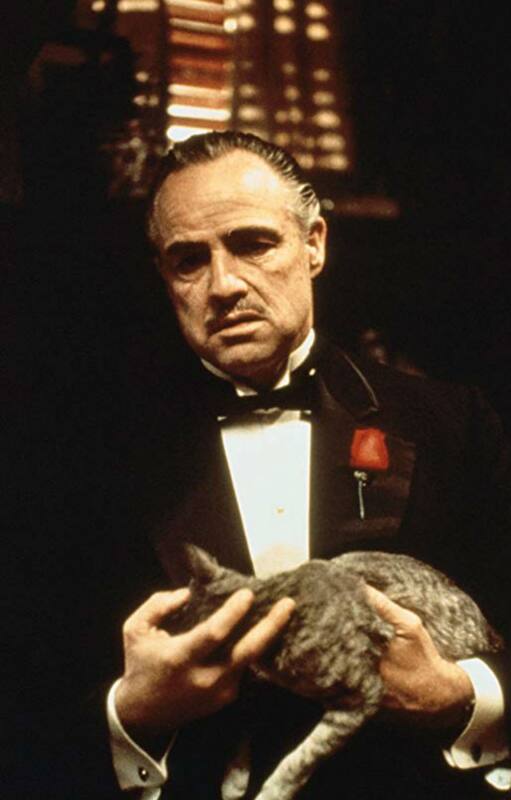 El padrino