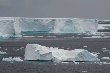 El A23a, el iceberg más grande del mundo que se convirtió en noticia.