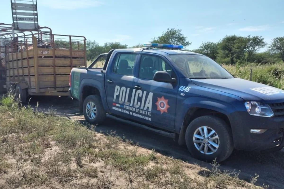 El abigeato y la faena clandestina se mantienen a pesar de los esfuerzos de los efectivos de la guardia rural “Los Pumas”, dedicada a atender los hechos delictivos del ruralismo