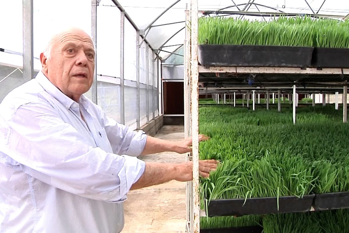 El abogado Víctor Moncada