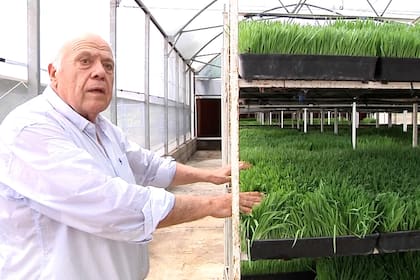 El abogado Víctor Moncada