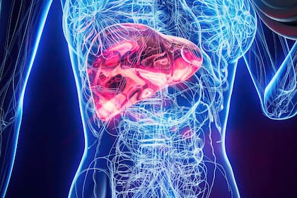 El abordaje integral mediante hábitos saludables permite la recuperación de las funciones del órgano