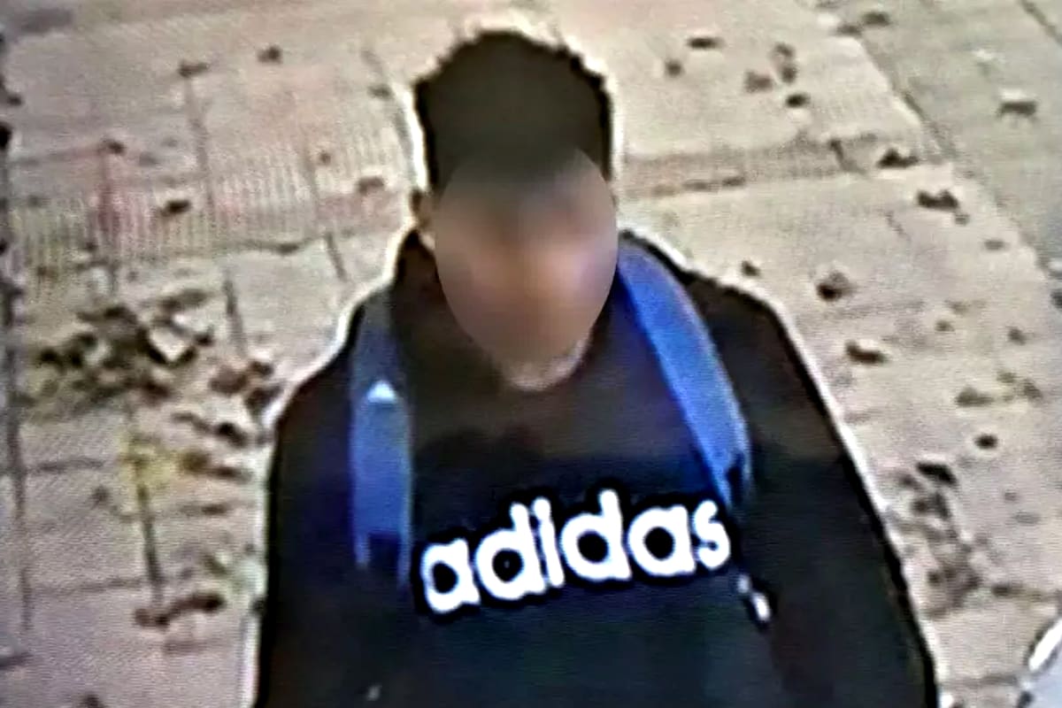 El abusador fue captado por las cámaras de seguridad, en Tunuyán, Mendoza