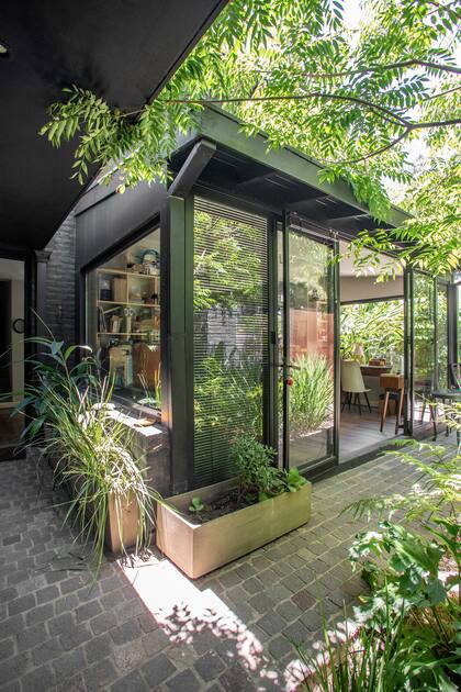El acceso al taller de Andrea Bones anticipa de qué se trata el resto de su casa: espacios negros que se desdibujan para resaltar la vegetación circundante.