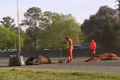 El accidente ocurrió a las 4 de la mañana