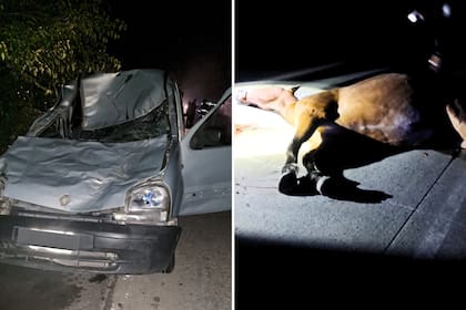 El accidente se cobró la vida del hombre y del animal. Foto: X