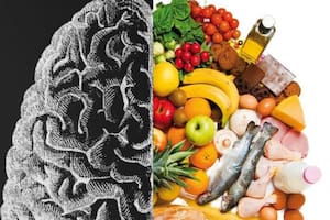 El aceite de oliva extra virgen preserva la memoria y protege el cerebro contra el Alzhéimer
