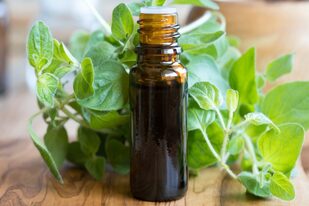 “El aceite de orégano es uno de los remedios más populares como tratamiento alternativo en gastroenterología”, asegura Facundo Pereyra, especialista en medicina interna y endoscopía digestiva.