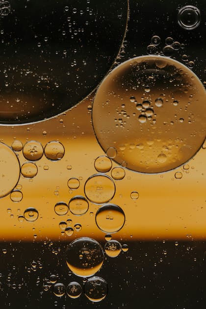 El aceite de soja es alto contenido de vitamina E
