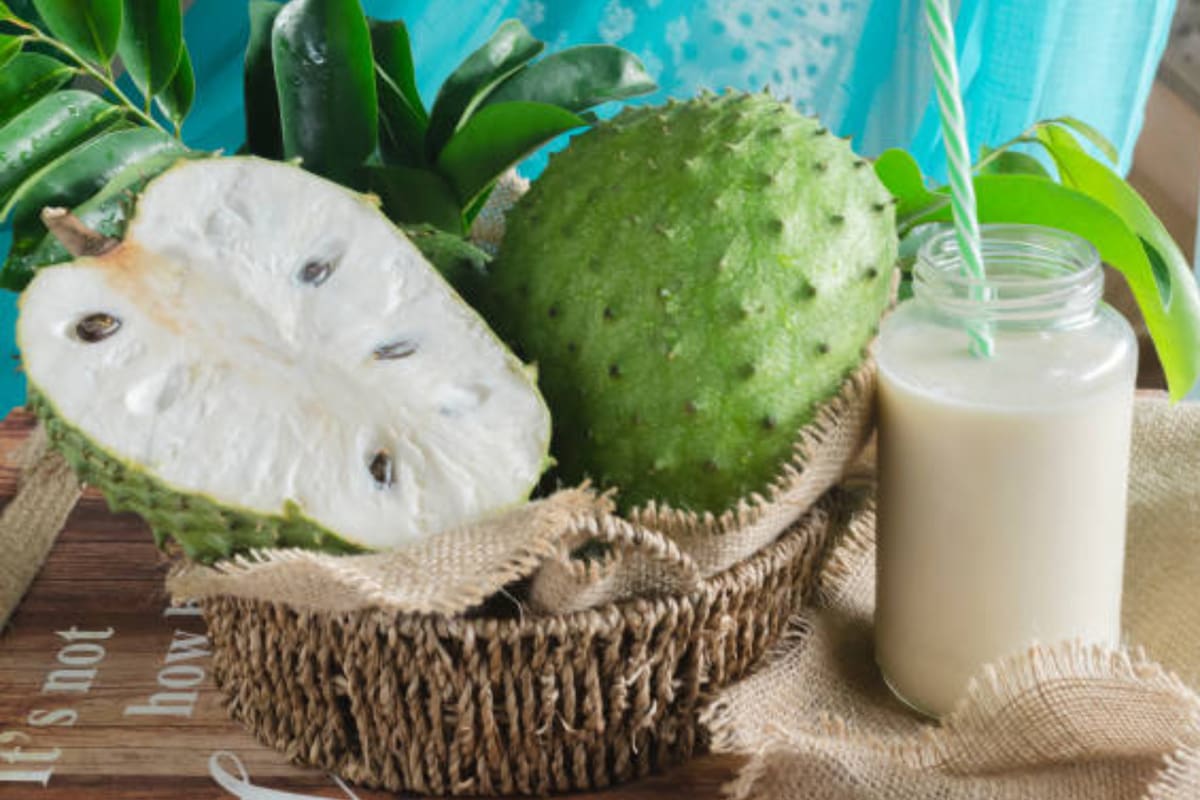 El aceite esencial de guanábana tiene propiedades que pueden ayudar a tratar las úlceras gástricas (Foto Pexels)