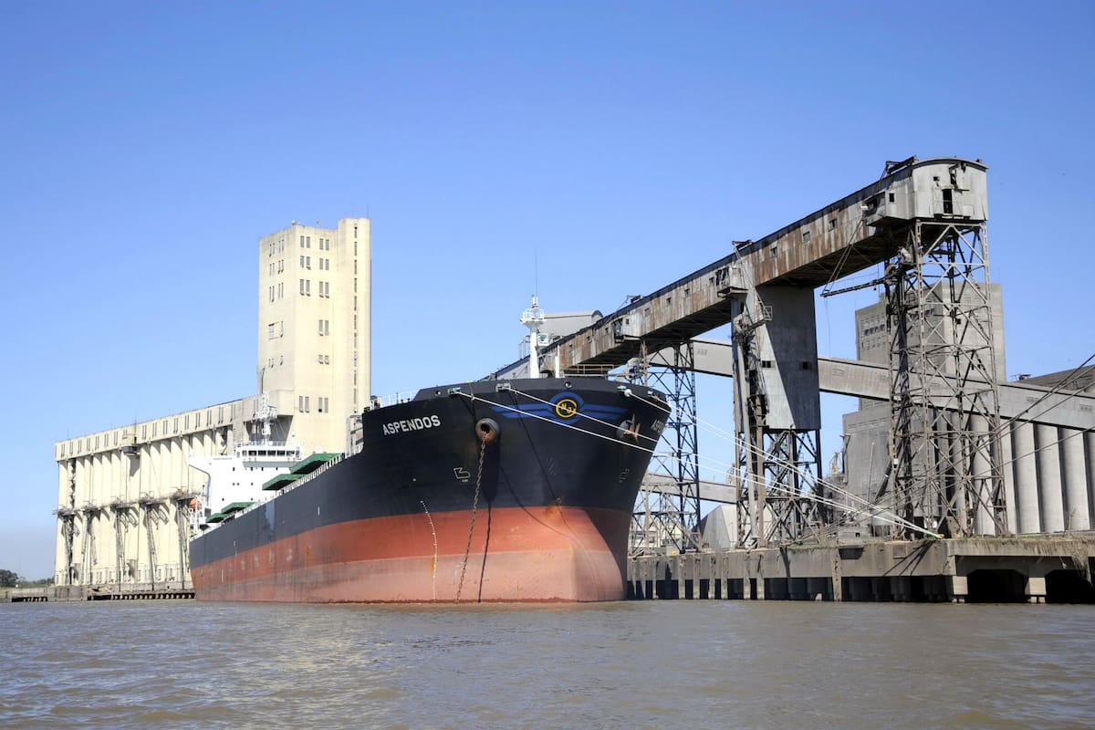 El aceite y la harina de soja tienen que pagar con las retenciones adicionales $4 por cada dólar exportado, más que los $3 de los subproductos del trigo y el maíz