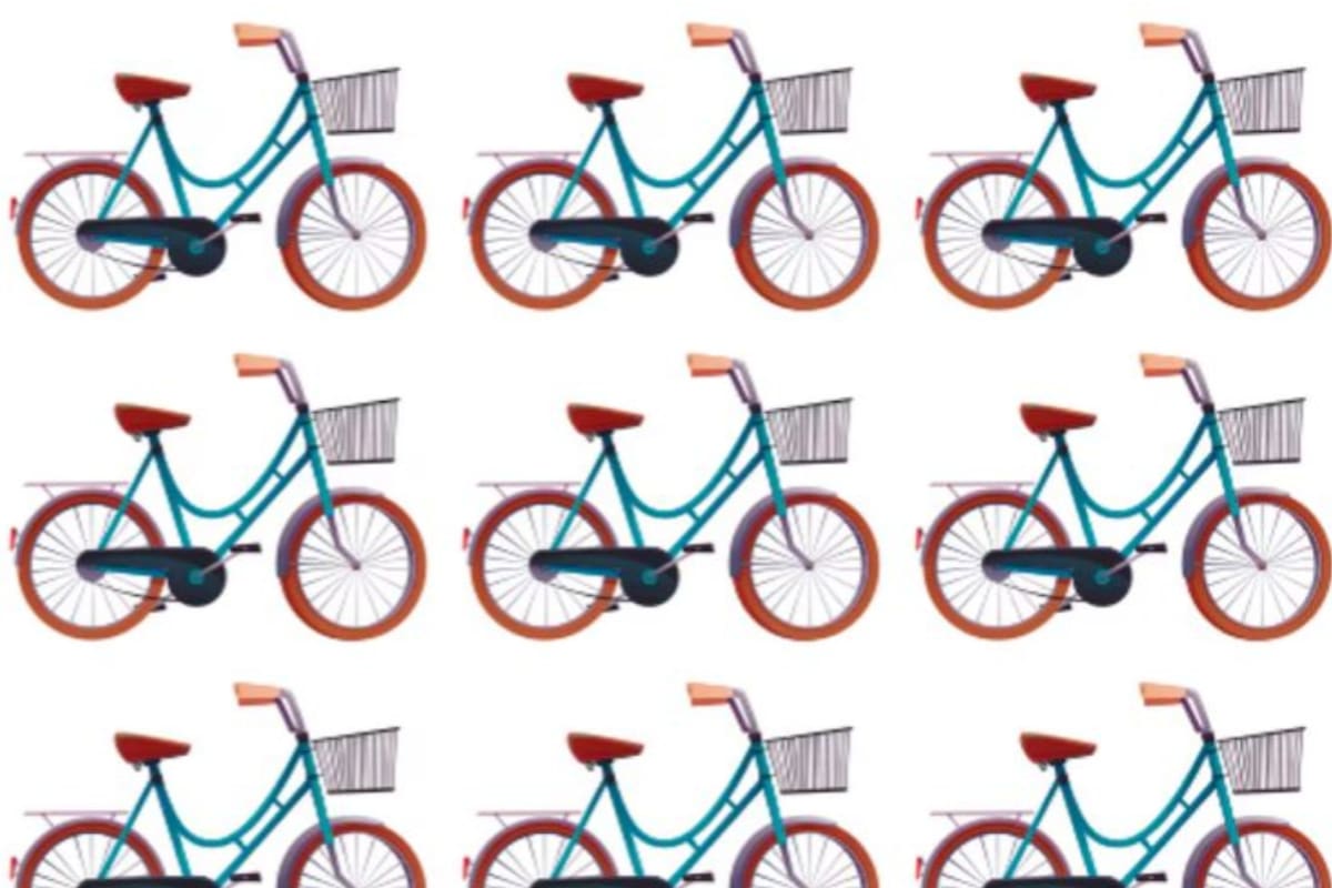 El acertijo de la bicicleta que capturó la visión de los usuarios de las redes sociales