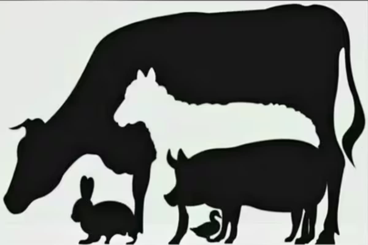 El acertijo de la traición: ¿cuántos animales ves?