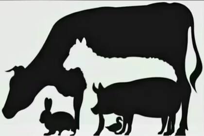 El acertijo de la traición: ¿cuántos animales ves?