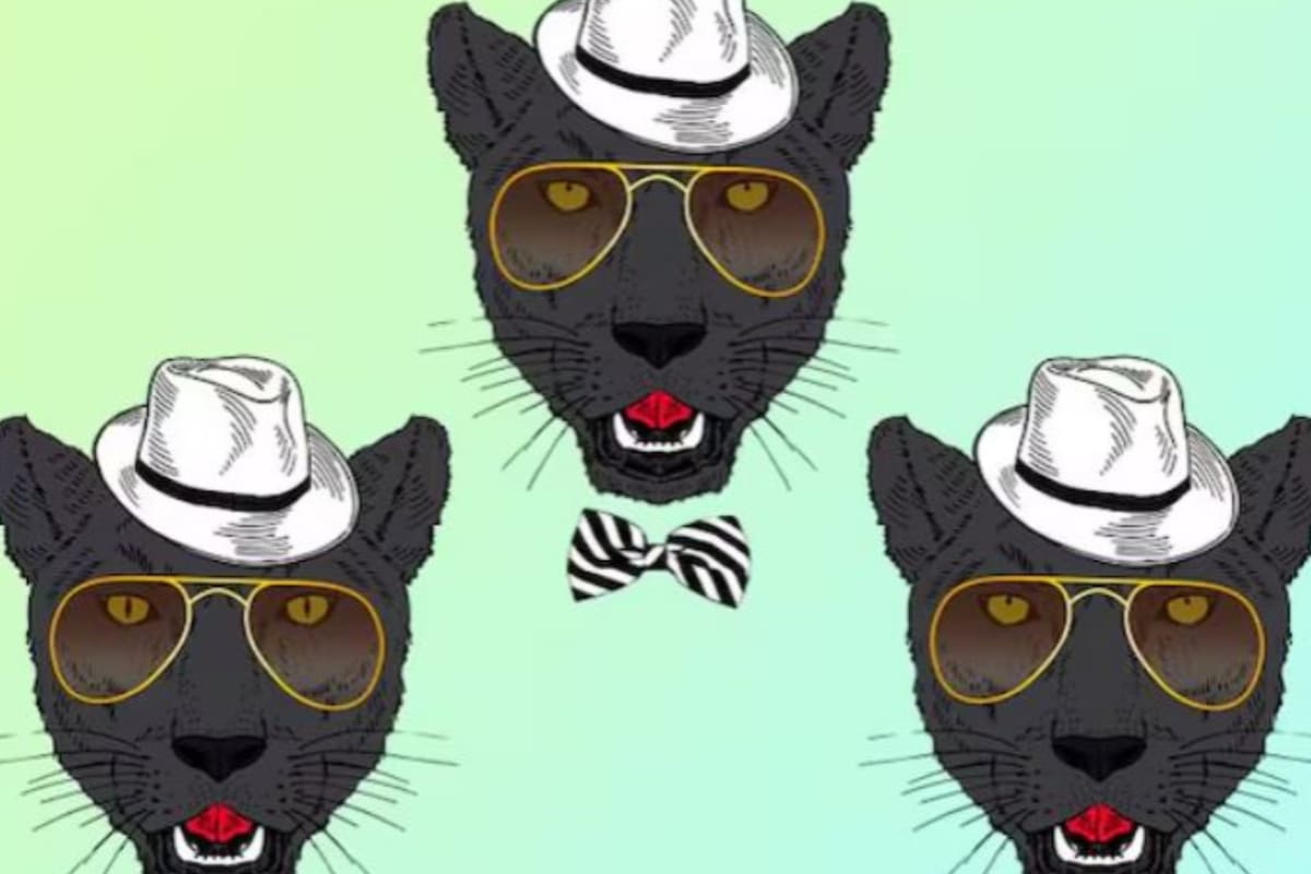 El acertijo de las panteras que se deberá resolver en 10 segundos