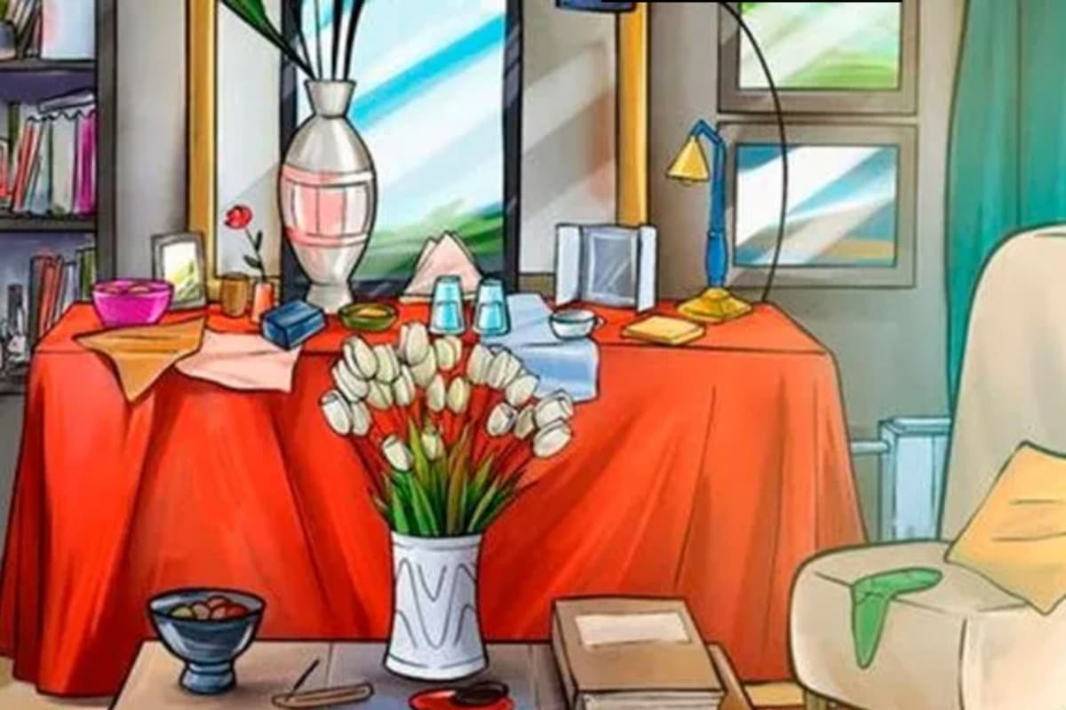 El acertijo del conejo que atrajo a miles de usuarios en las redes sociales