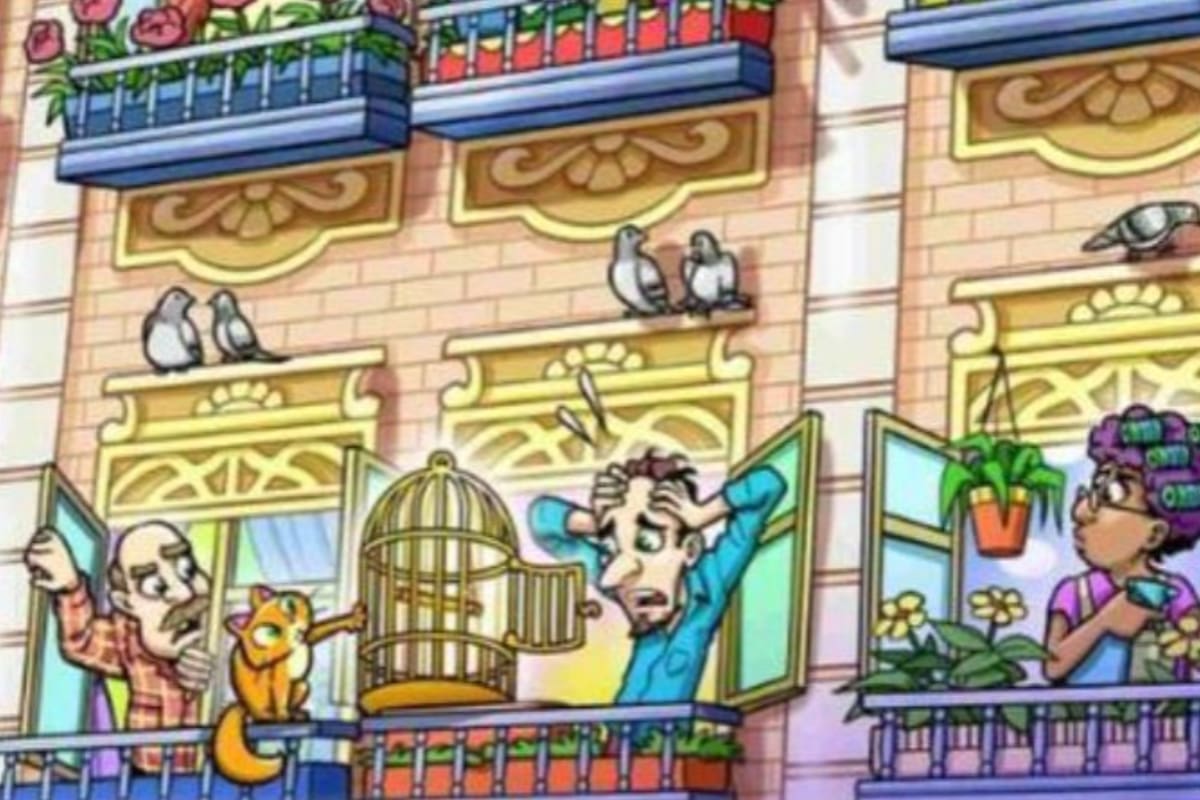 El acertijo del loro que se deberá resolver en 10 segundos