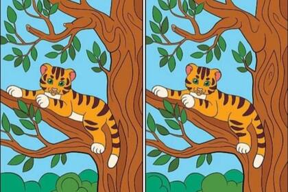 El acertijo del tigre donde se deberán encontrar las diferencias entre las imágenes