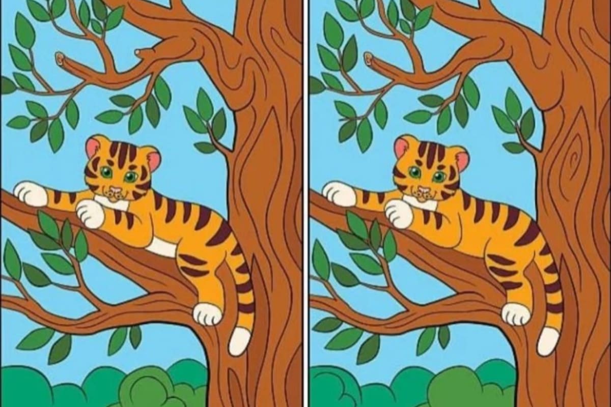 El acertijo del tigre donde se deberán encontrar las diferencias entre las imágenes