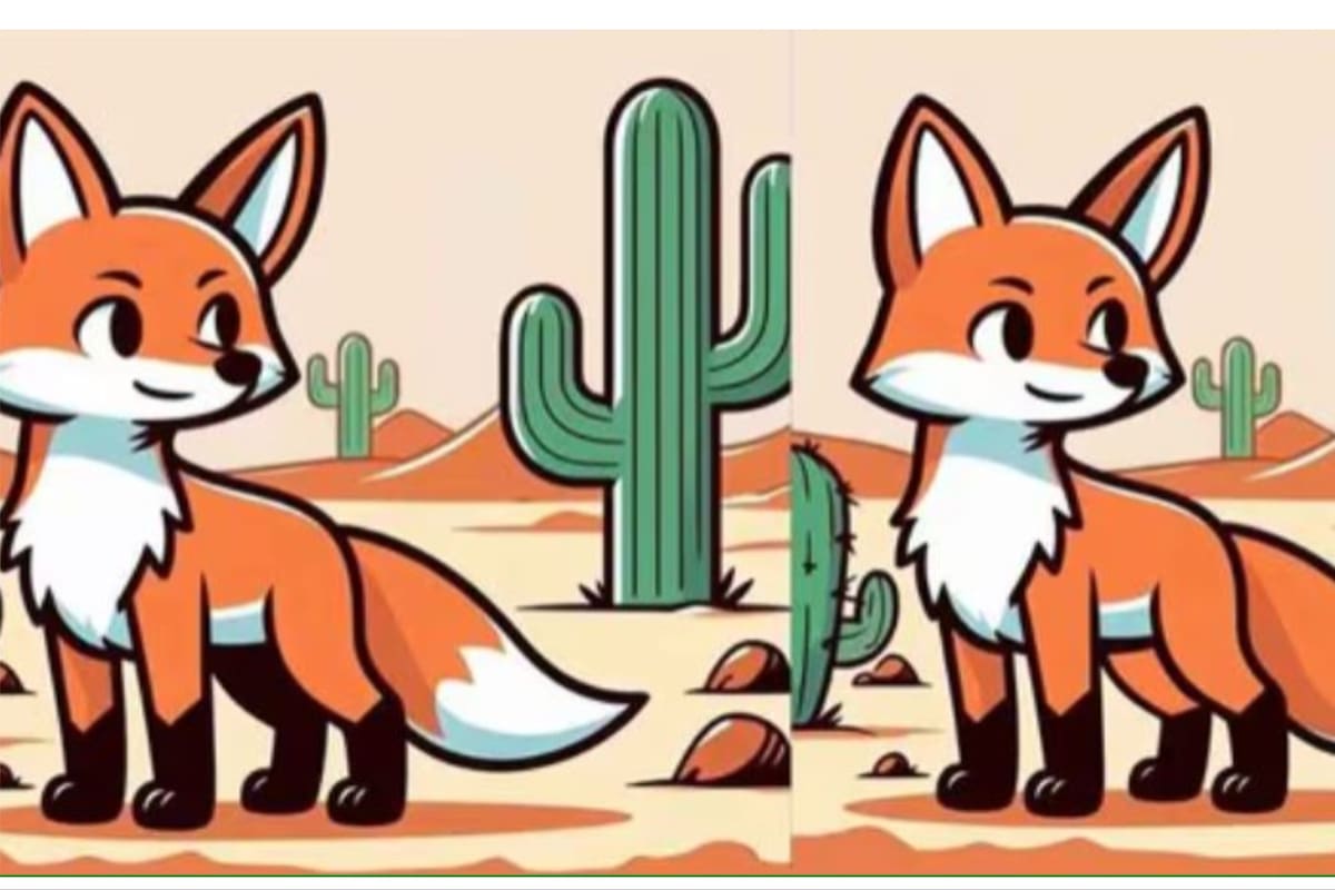 El acertijo del zorro que se deberá resolver en 10 segundos