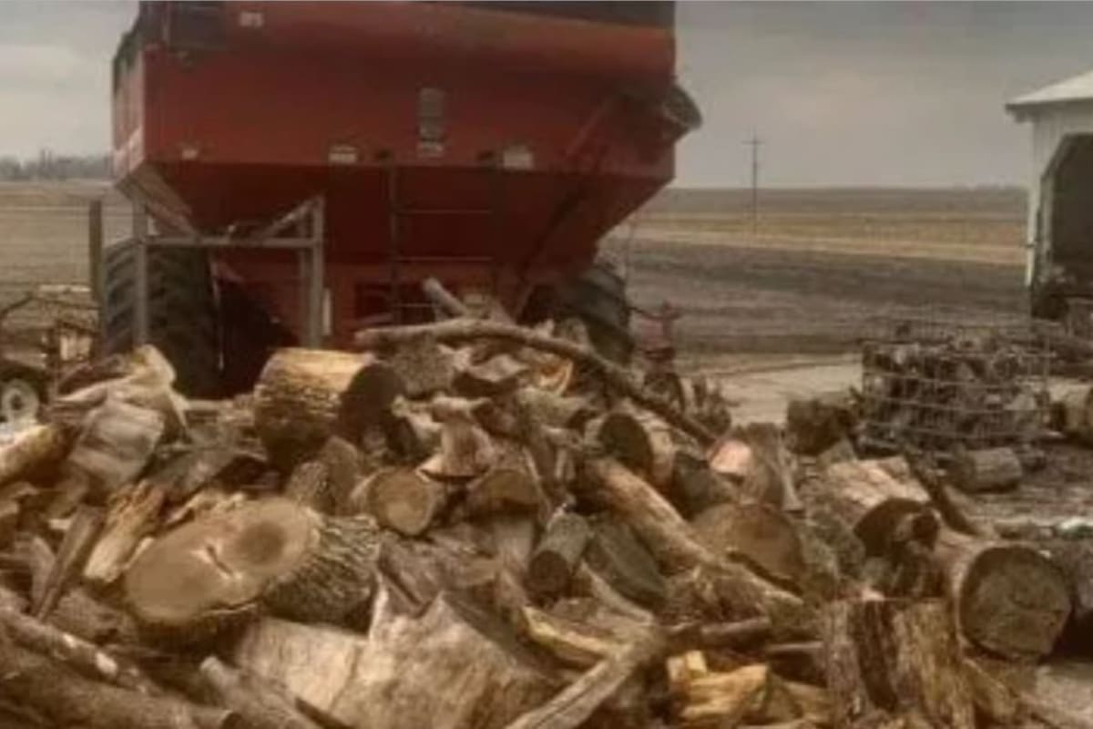 El acertijo donde se deberá encontrar al gato escondido