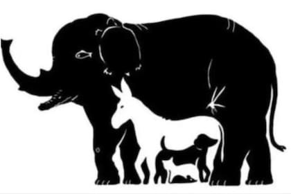 El acertijo que pondrá a prueba tus conocimientos del reino animal