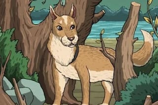 Desafío viral: encontrá en menos de un minuto el gato escondido en este dibujo