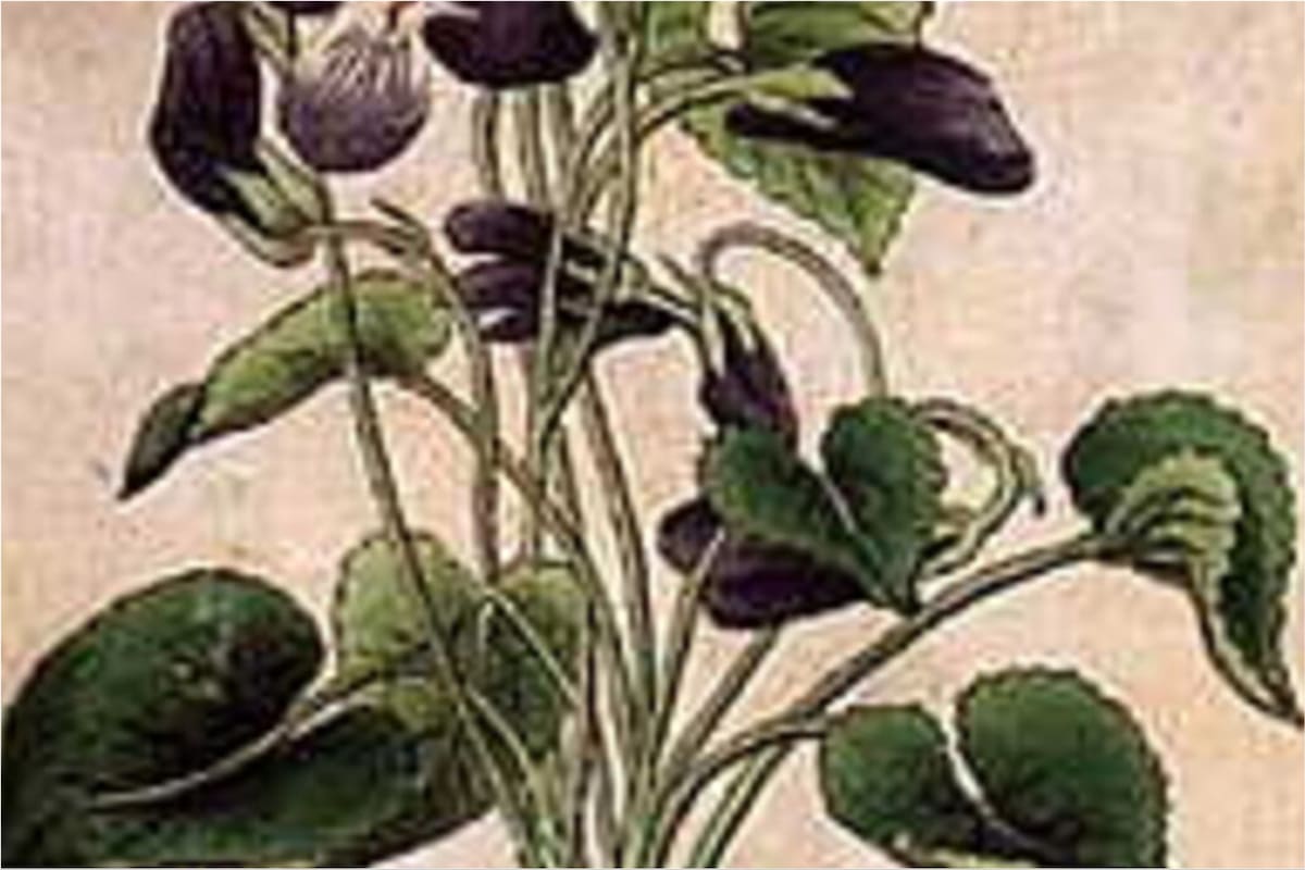 El acertijo visual donde se deberán identificar los rostros ocultos