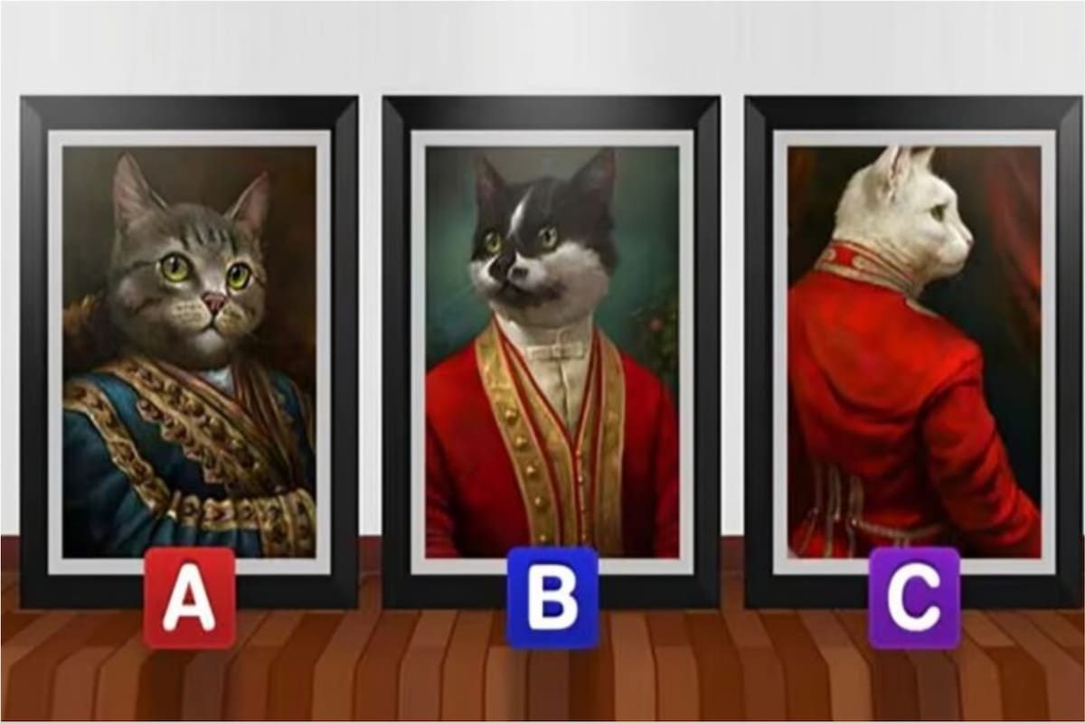 El acertijo visual que involucra a tres gatos