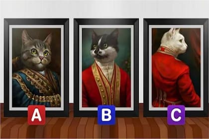El acertijo visual que involucra a tres gatos