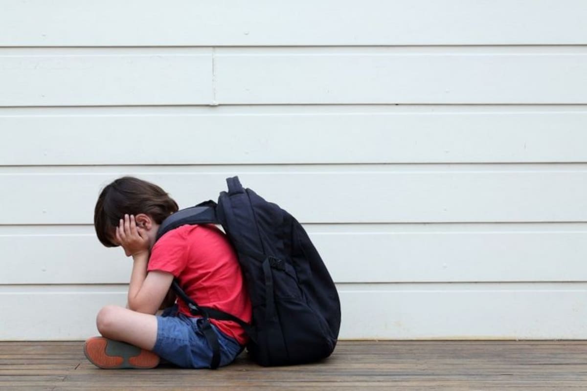 El acoso escolar se convirtió en un verdadero problema en el sistema educativo