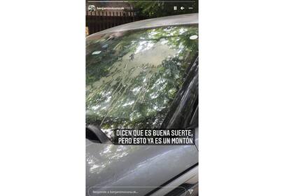 El actor mostró cómo su auto estaba lleno de excrementos.