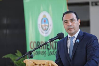 El actual gobernador de Corrientes, Gustavo Valdés, renovó su mandato en 2021 y su cargo no estará en juego en las elecciones del domingo 11 de junio