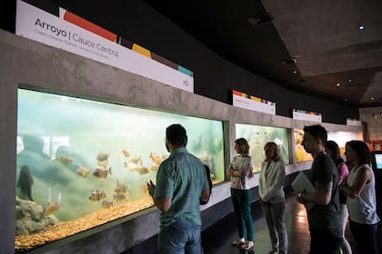 Las visitas son guiadas para grupos de hasta 25 personas y arrancan cada 15 minutos