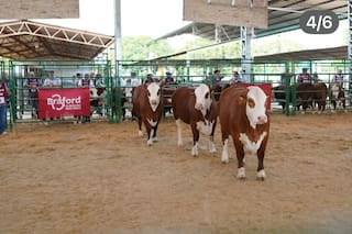 Braford firmó un convenio con ArgenINTA para acercar tecnología a los productores ganaderos