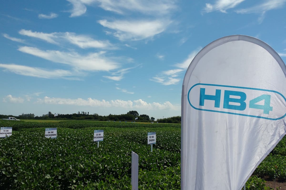 El acuerdo busca diseñar y establecer un programa de mejoramiento acelerado de soja HB4