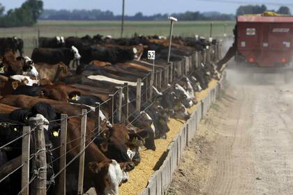 El acuerdo EE.UU.-Europa por la cuota 481 perjudicaría al país