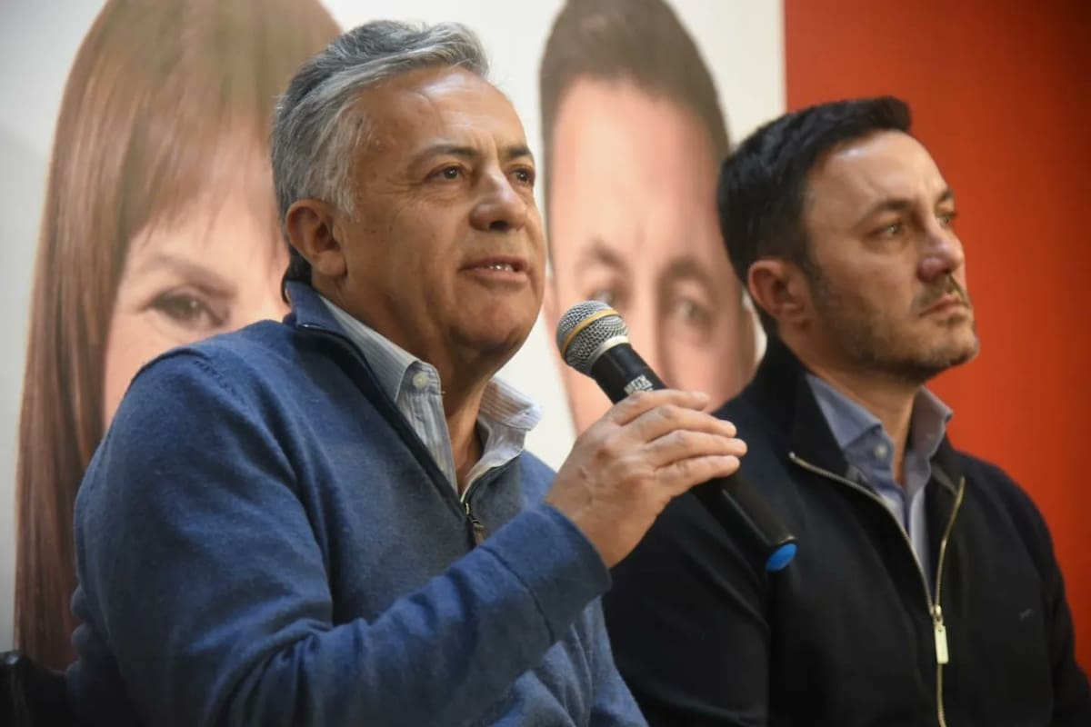El acuerdo entre Cambia Mendoza y LLA quedó en stand by tras el estallido de la interna radical entre Cornejo y Petri