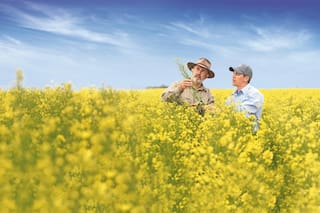 Bayer y el mayor productor mundial de combustible de aviación sostenible producirán un supercultivo