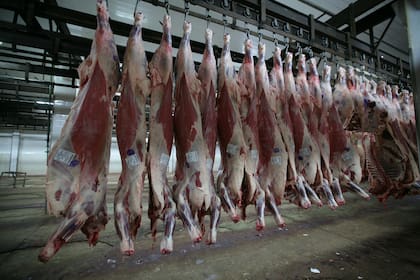 El acuerdo para vender carne enfriada y congelada con hueso podría ampliar un 25% las exportaciones a China