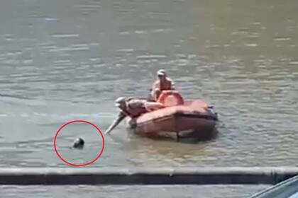 El acusado de abuso se tiró a uno de los diques de Puerto Madero y tuvo que ser rescatado por Prefectura Naval