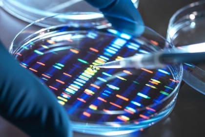 El ADN puede almacenar una enorme cantidad de datos y sus requisitos de conservación no consumen mucha energía, lo que lleva a algunos a considerarlo el medio de almacenamiento perfecto