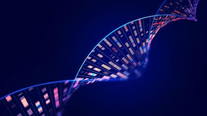 El ADN transporta la información necesaria para fabricar las proteínas que hacen posible la vida