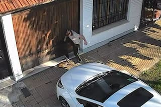 Un estudiante de 14 años le pisó la cabeza a un gato que descansaba en la calle