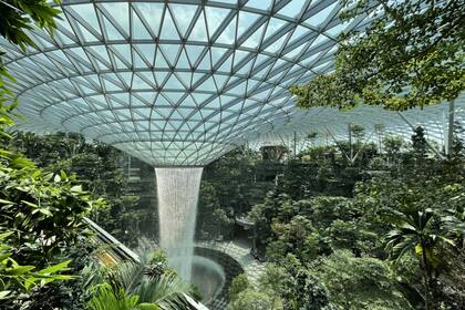 El aeropuerto Changi de Singapur se destaca por su arquitectura (Foto Unplash)