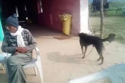 El agricultor decidió dejarle la mitad de sus bienes a su perro Jacky