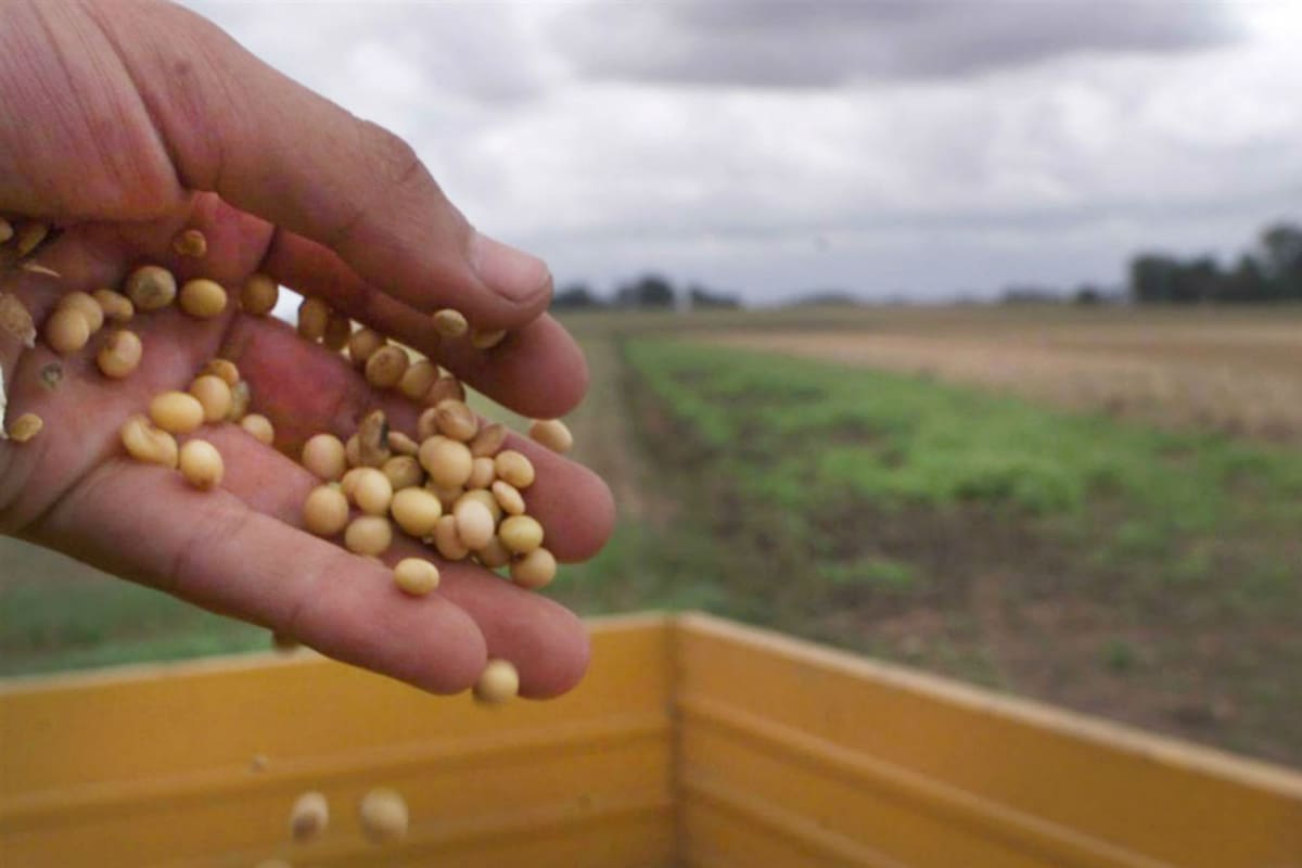 El agro aporta el 80% de los derechos de exportación