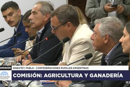 El agro en el Congreso pidió el fin de las retenciones; en la imagen, habla Pablo Ginestet, de CRA