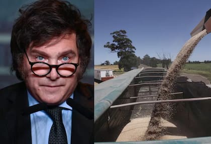 El agro espera que, más pronto que lejos, se comiencen a cumplir y llevar adelante las reformas impositivas